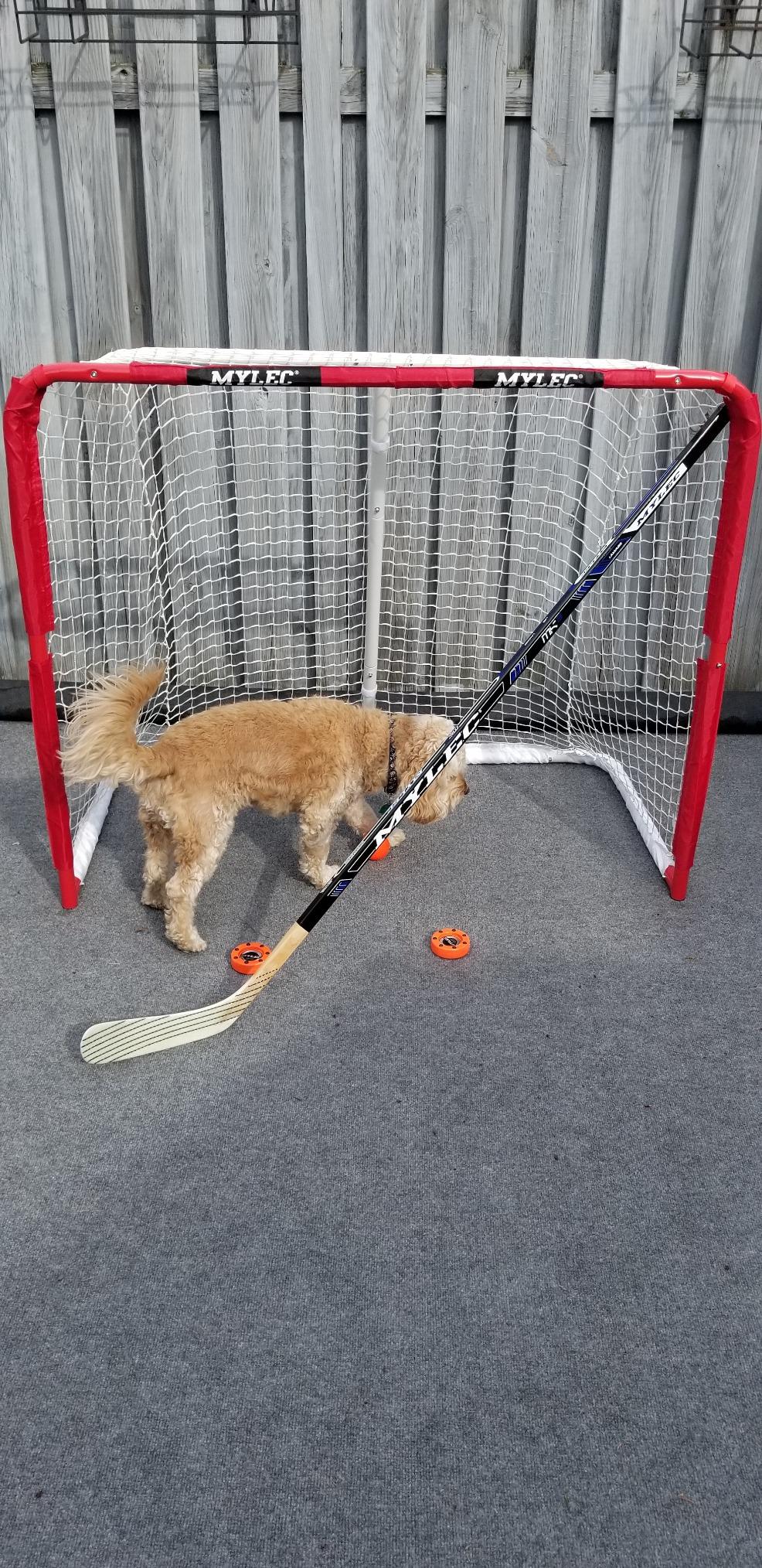 Mylec Steel Junior Hockey Goal for Indoor + Outdoor (52