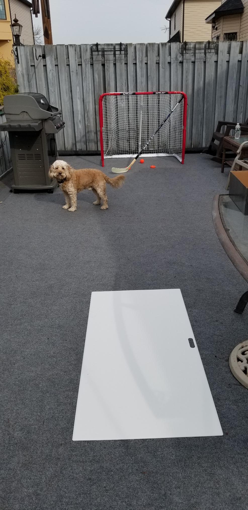 Mylec Steel Junior Hockey Goal for Indoor + Outdoor (52