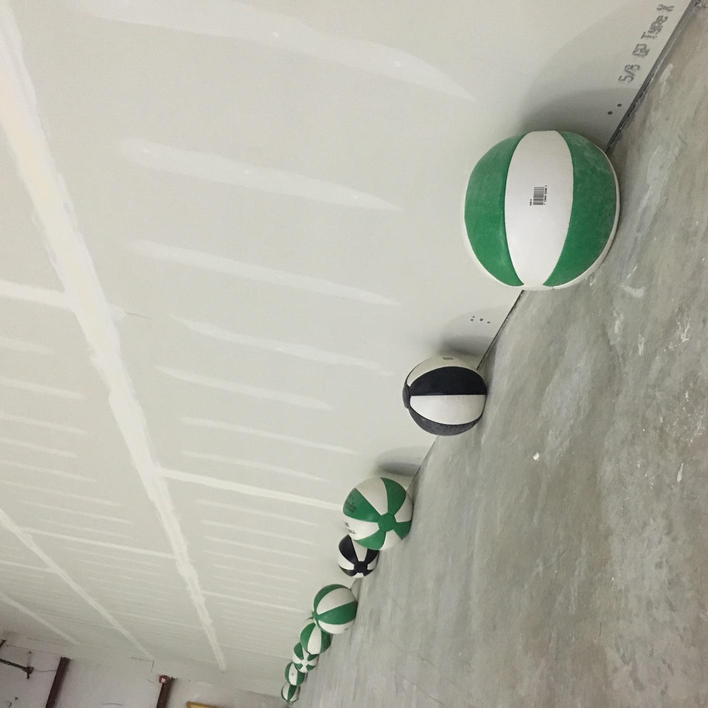 Champion Sports Leather Medicine Balls - Durable Weighted Balls for Strength, Core & Conditioning Training customer photo 1