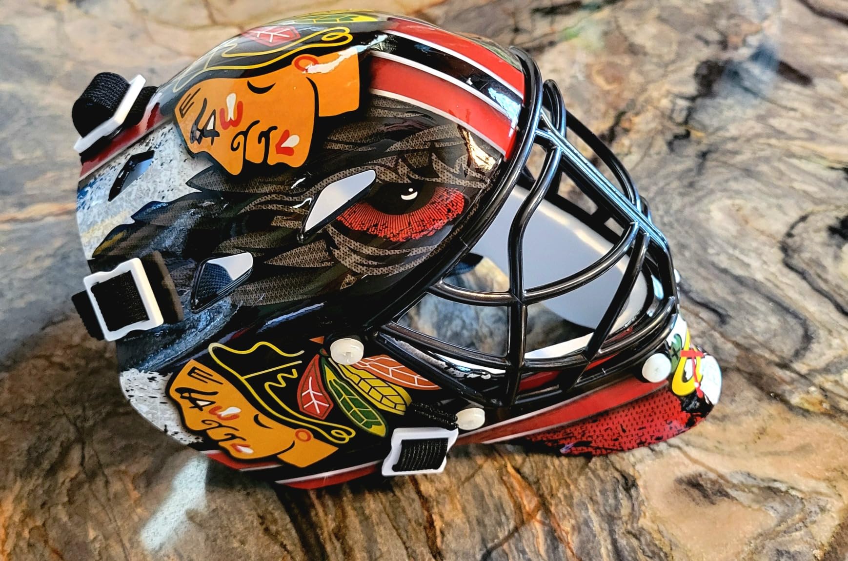 Franklin Sports NHL Team Logo Mini Hockey Goalie Mask with Case - Collectible Goalie Mask with Official NHL Logos and Colors customer photo 2