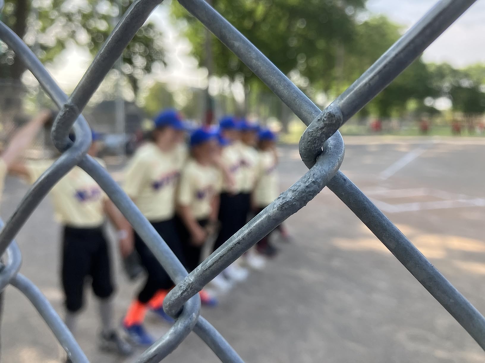 Shock Doctor Pelvic Protector for Hockey, Hockey Pelvic Protector, Youth & Adult customer photo 1