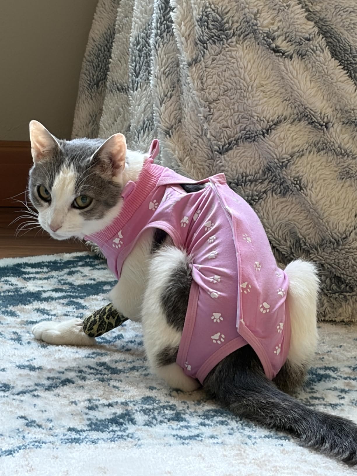 KT Tape, Original Cotton, Elastic Kinesiology Tape, Everyday Muscle and Joint Support, Daily Pain Relief, 20 Count, 10