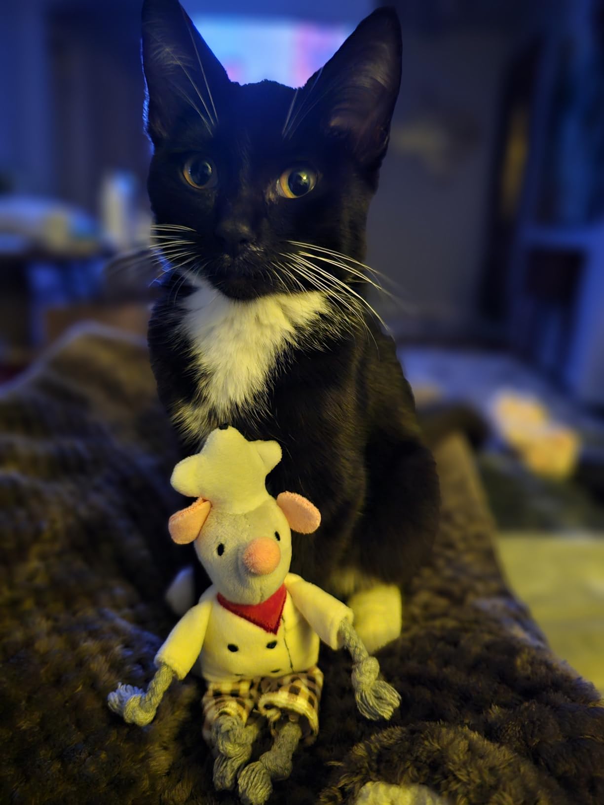 Sky Bounce Ball 3pk - Assorted Colors 2