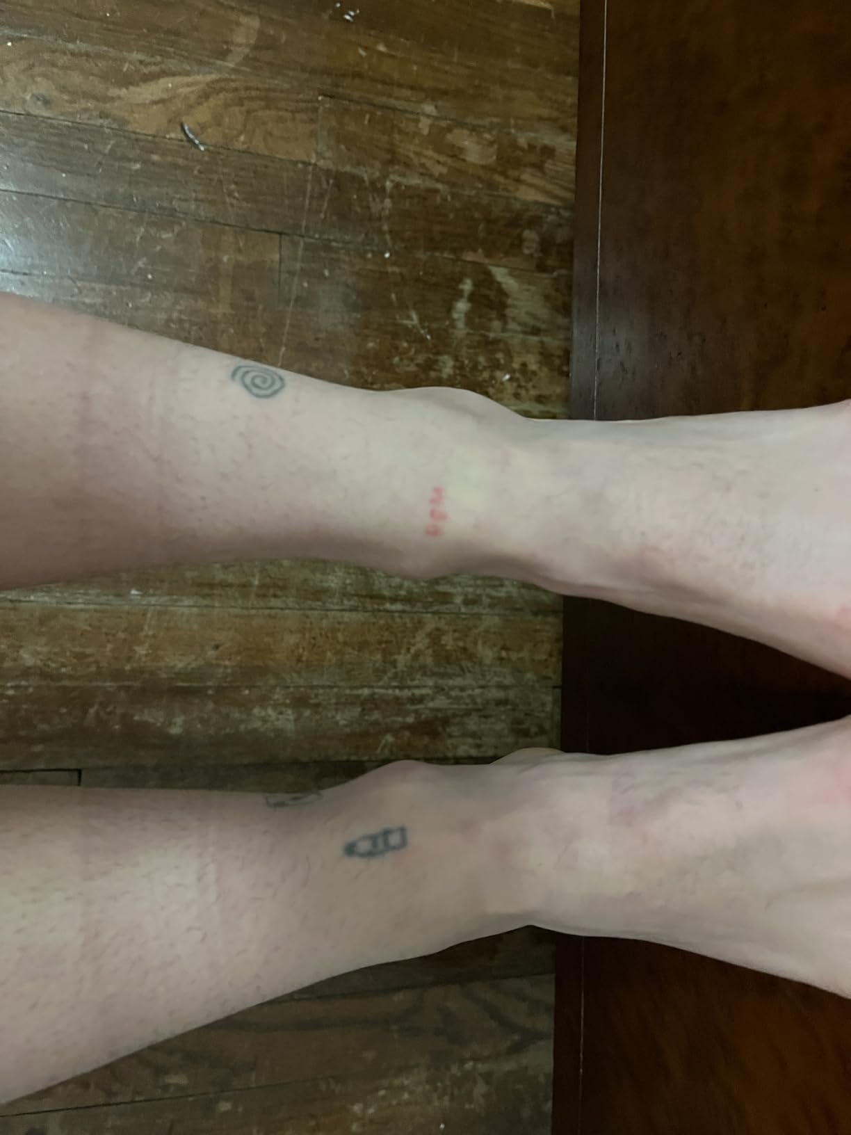 Women's Studio Basics Tight customer photo 1