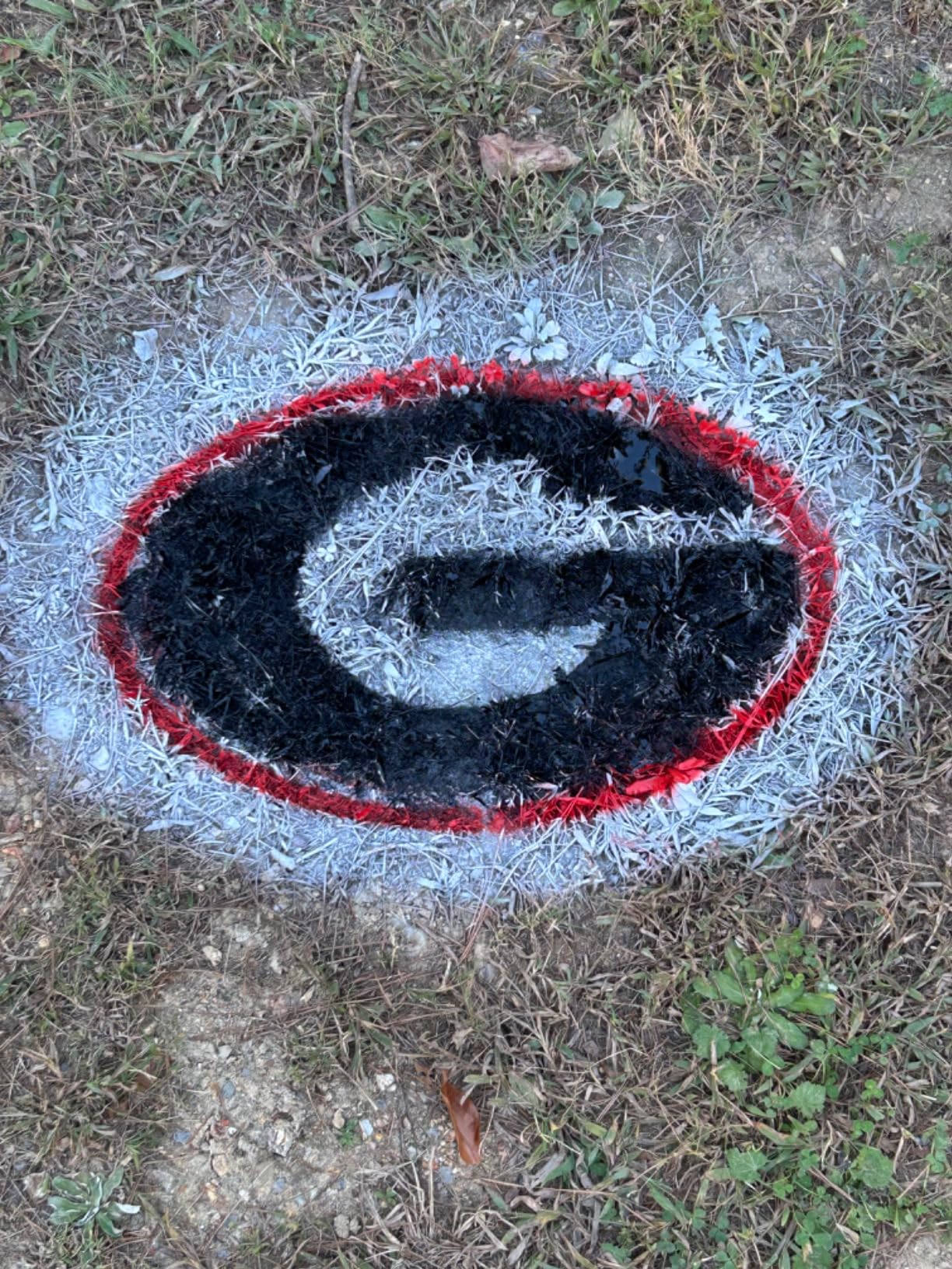 Kwik Goal Athletic Field Paint - Pack of 12 Cans customer photo 2