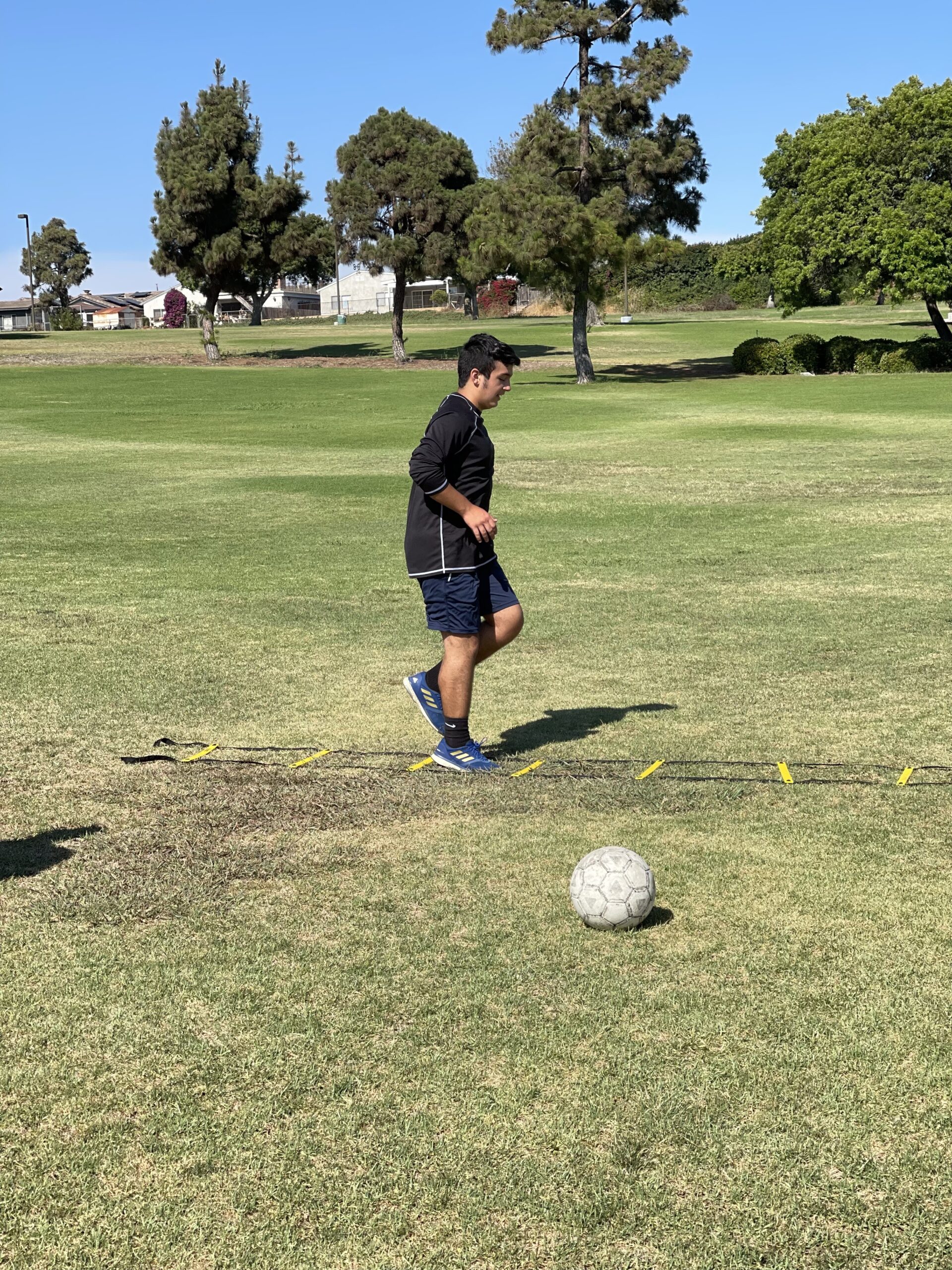 POWER GUIDANCE Agility Ladder (20 Feet) with Cones for Speed Agility Training & Quick Footwork Exercise - Soccer & Football Training Equipment for Adults, Youth & Kids customer photo 2