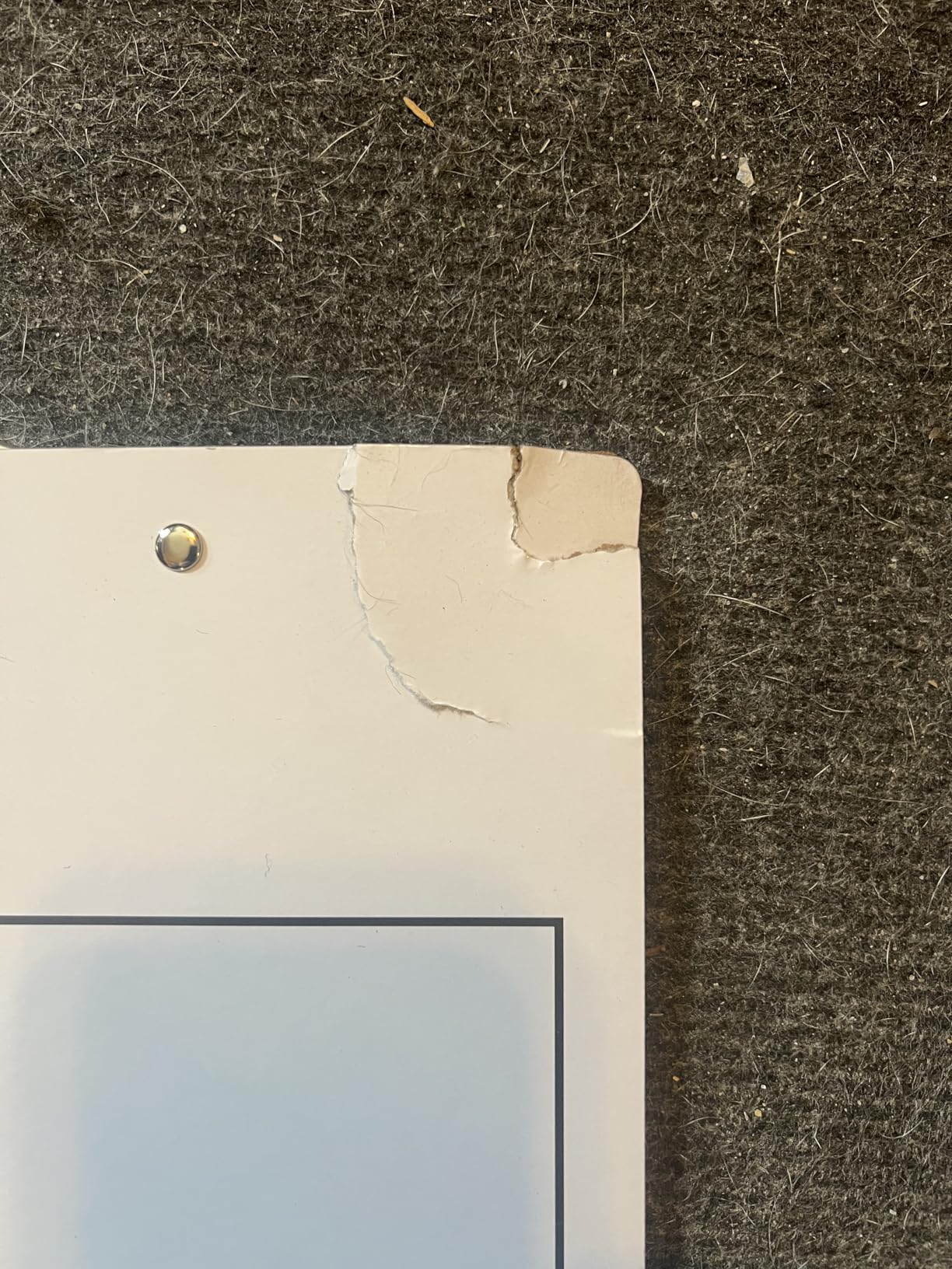 Murray Sporting Goods Dry Erase Coaches Clipboard | Double-Sided Dry Erase White Board customer photo 2