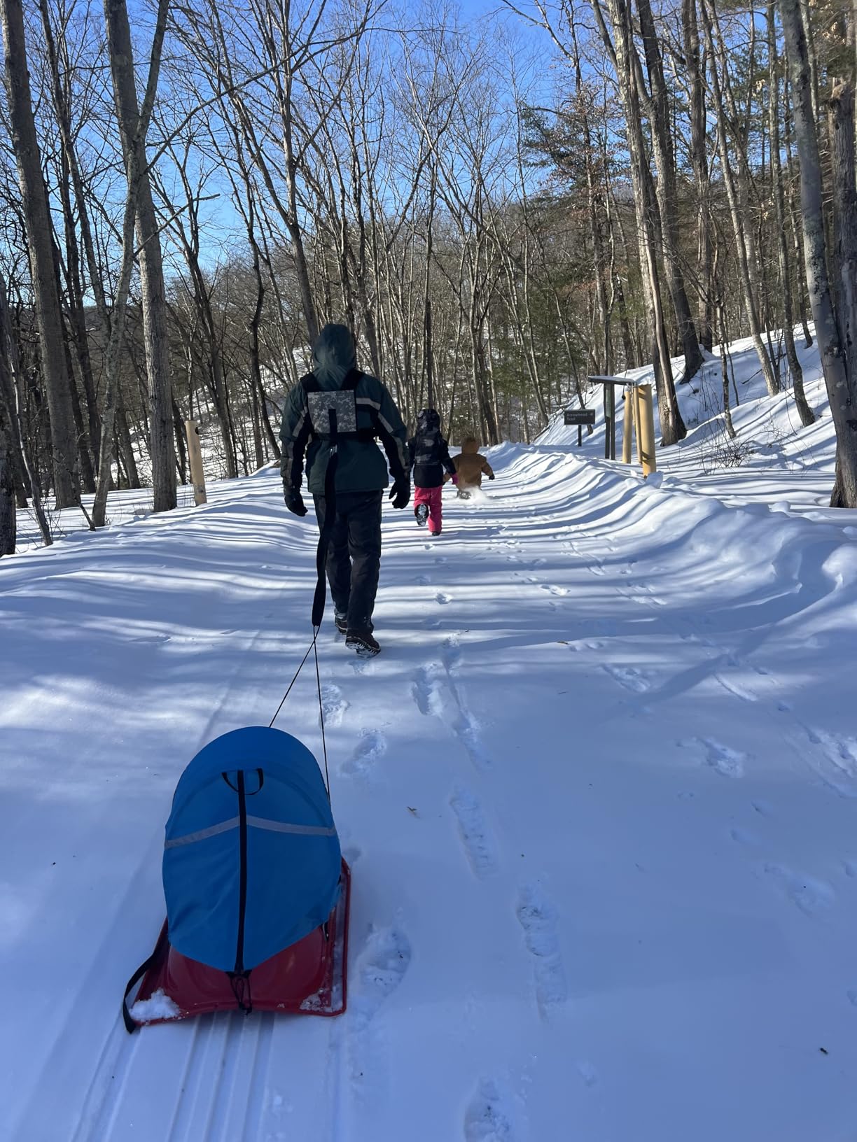 miR Sled Harness customer photo 1