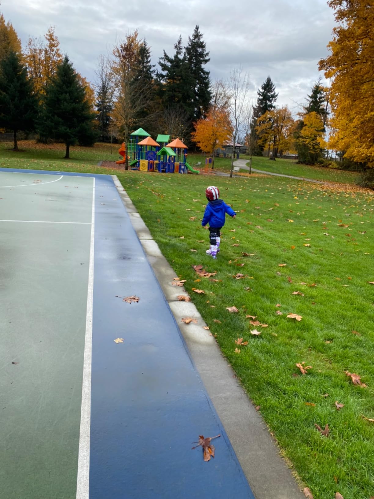 Radio Flyer Toddler and Children's Bike Helmet, CPSC Safety Certified, Universal Size Kids Bicycle Safety Helmet, Ages 2-5, Multiple Colors Available customer photo 1