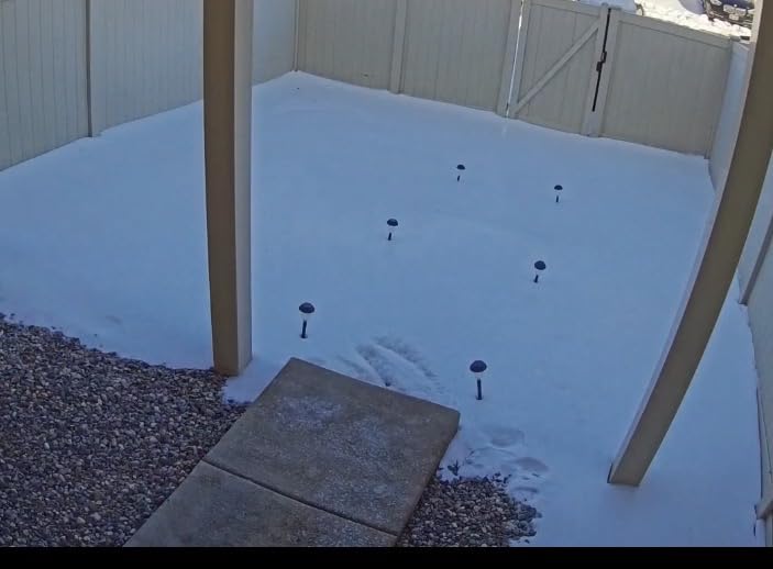 Snow Joe Ice Chopper with 7-Inch Carbon Steel Blade and Shock-Absorbing Handle, 3.2 Lbs - Portable and Lightweight Winter Scraper and Ice Remover for Driveway, Sidewalk, Garage, & Patio, SJEG700 customer photo 1