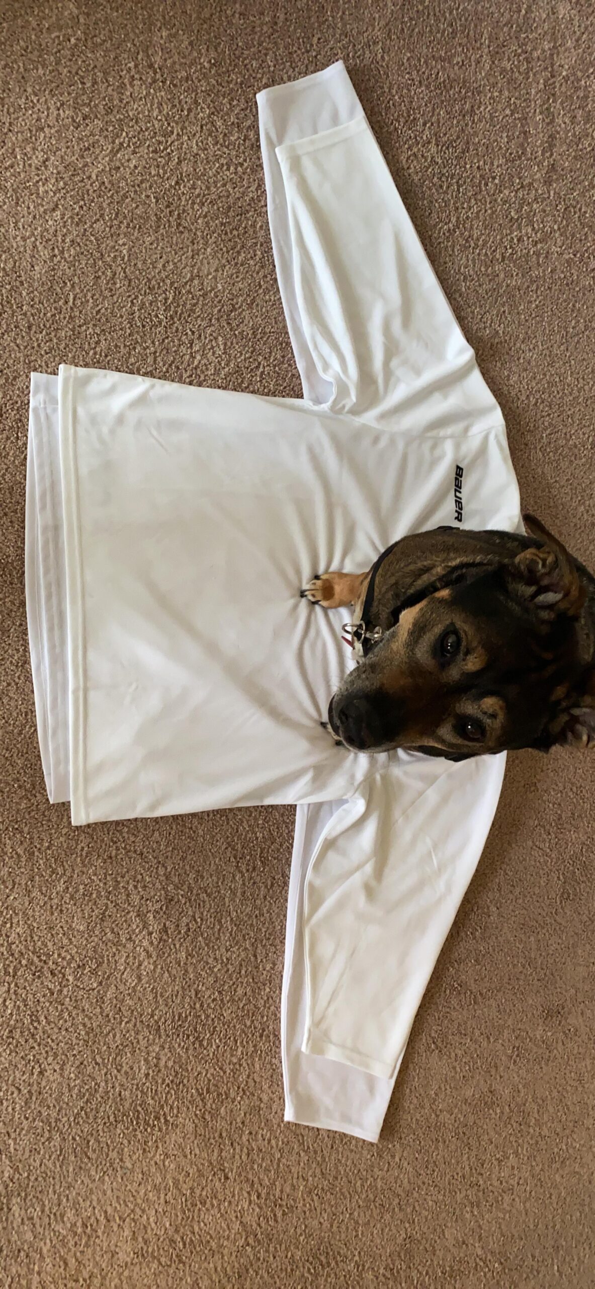 CCM 5000 Series Hockey Practice Jersey - Senior customer photo 1