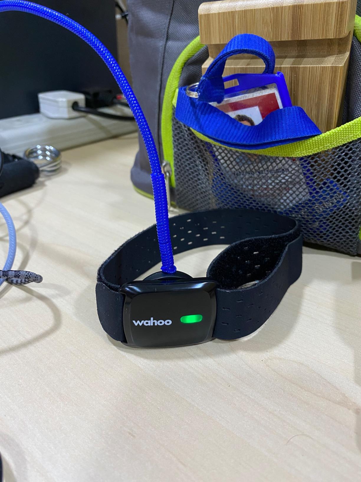 Wahoo TICKR FIT Heart Rate Armband, Bluetooth, ANT+ customer photo 1