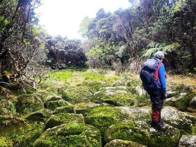 CRS Cross Boot Bumper Gel Sleeve. One Pair of Premium Padded Skate Socks to Cushion and Protect Achilles and Lace Bite. Two Gel Pads on each sleeve for Ice Skating and Hockey. (One Size Fits Most) customer photo 1