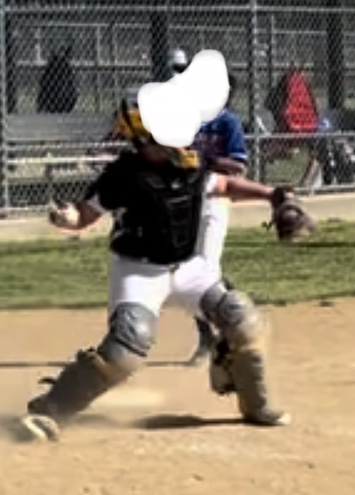 Champro Optimus MVP Chest Protector customer photo 1