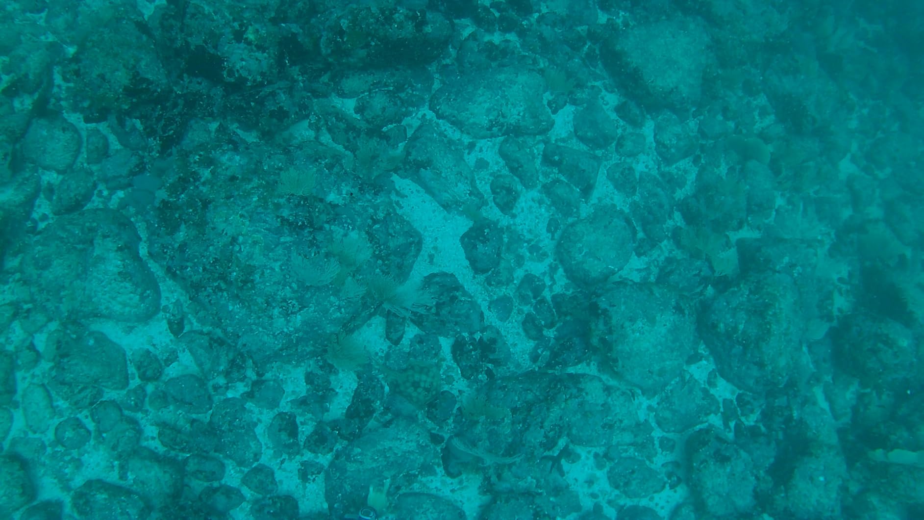 AKASO EK7000 Pro 4K30fps Action Camera with Touch Screen EIS 131ft Waterproof Underwater Camera Remote Control 5X Zoom customer photo 1