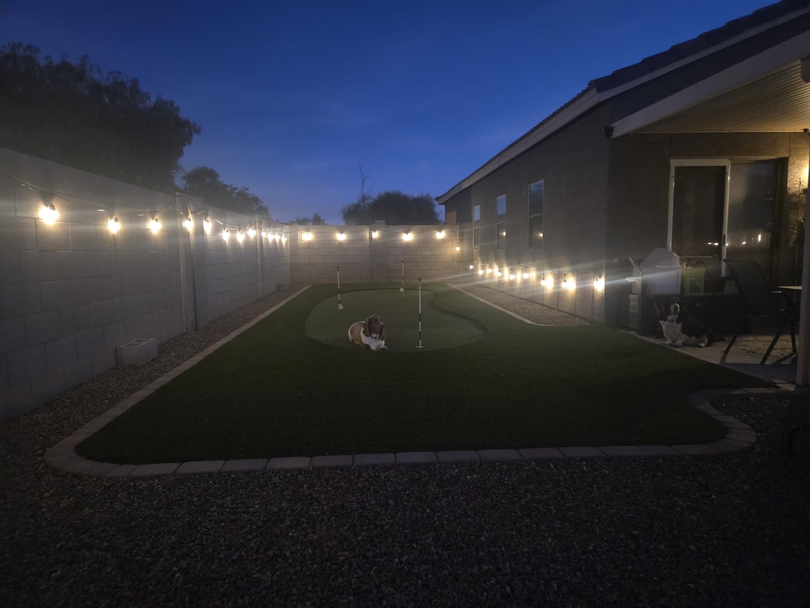 addlon LED Outdoor String Lights 48FT with Edison Vintage Shatterproof Bulbs and Commercial Grade Weatherproof Strand - ETL Listed Decorative Lights for Patio Garden customer photo 1
