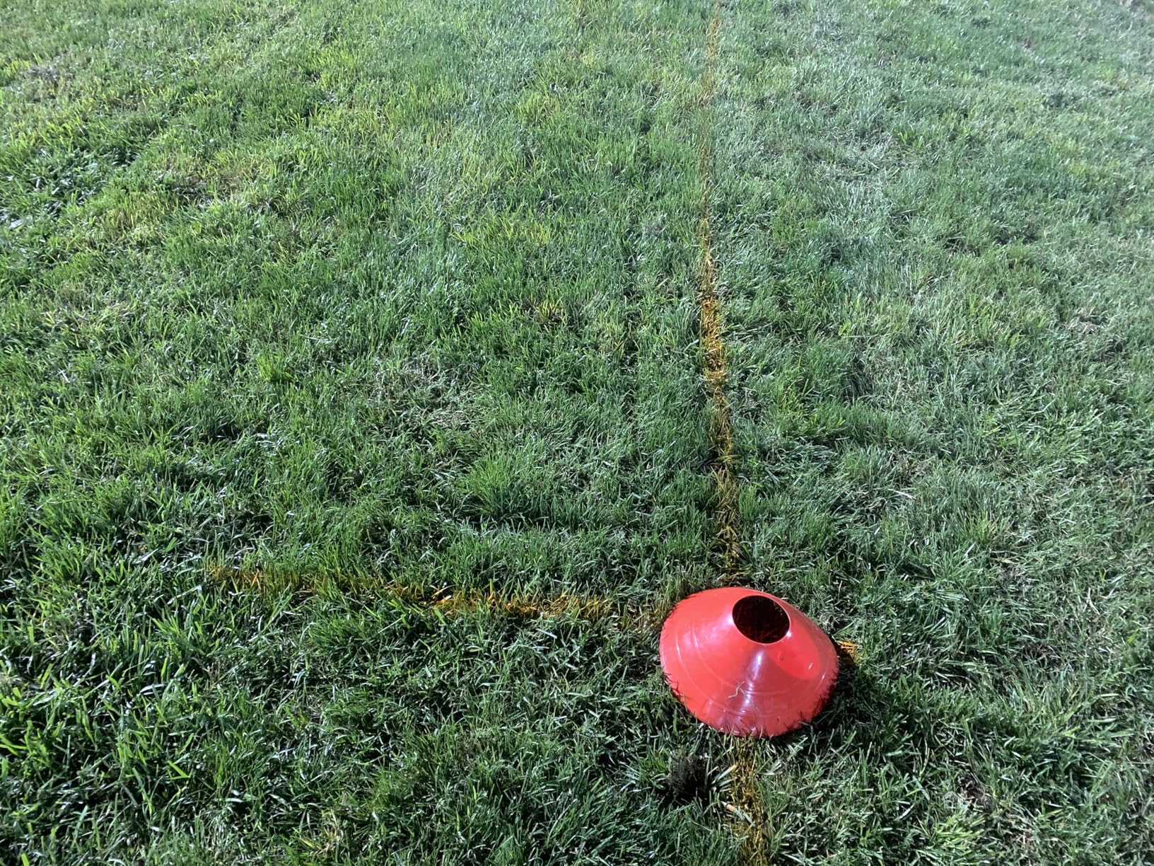 DuraStripe Athletic Field Marking Paint (Pink) 12-18oz Cans Per Case customer photo 1