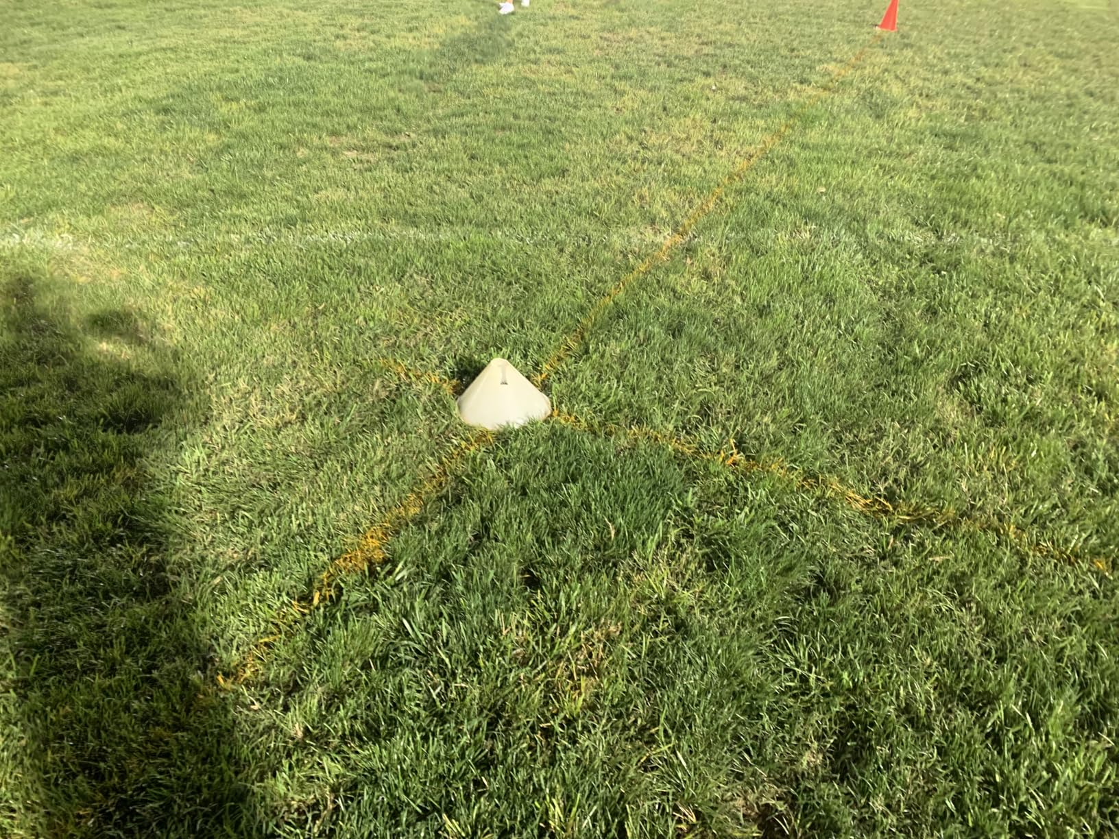 DuraStripe Athletic Field Marking Paint (Pink) 12-18oz Cans Per Case customer photo 2