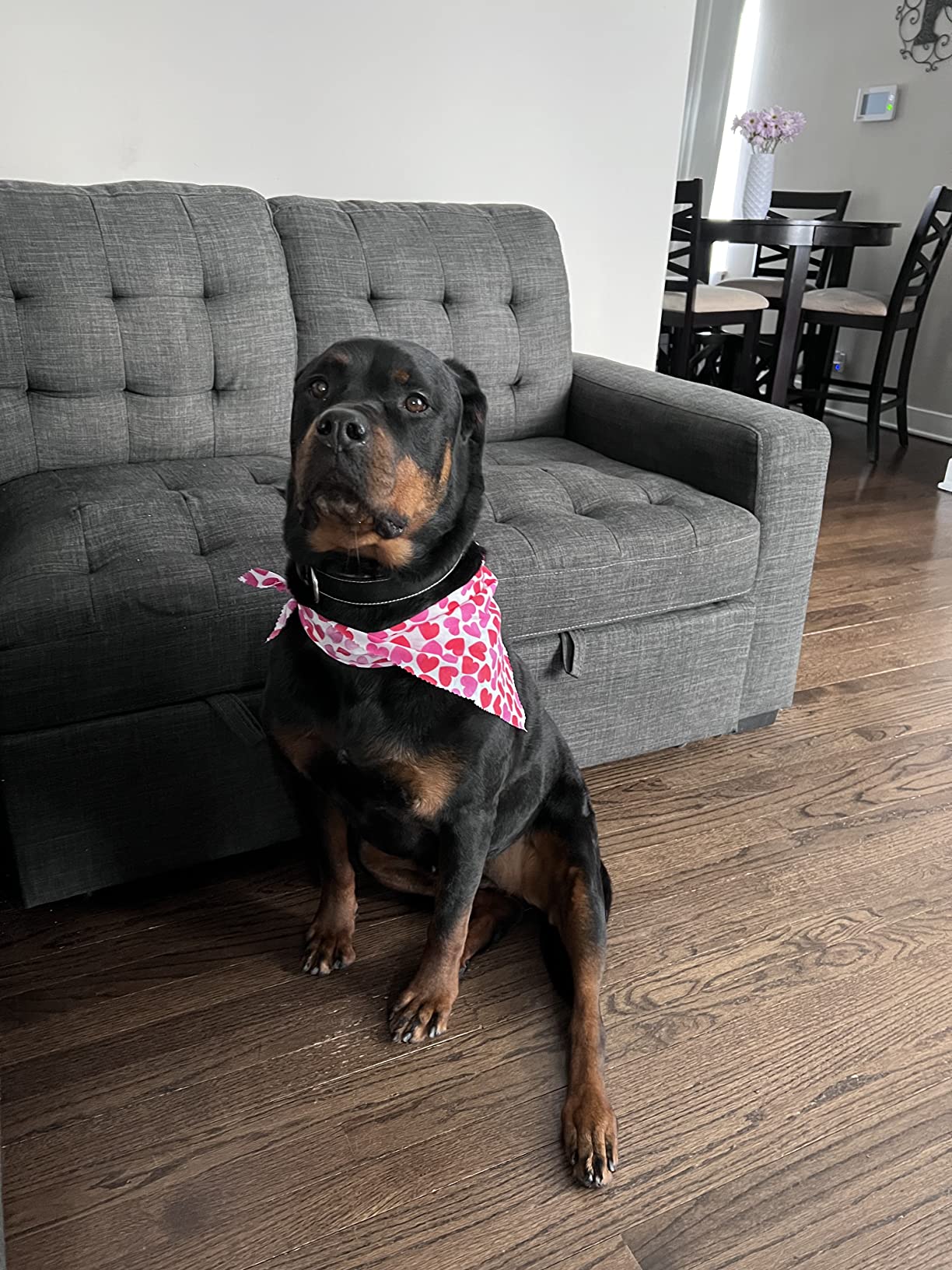 Yes4All Adjustable Soft Plyo Box, Jumping Trainer - For Plyometric Exercises and Conditioning, Multiple Height Variations customer photo 1