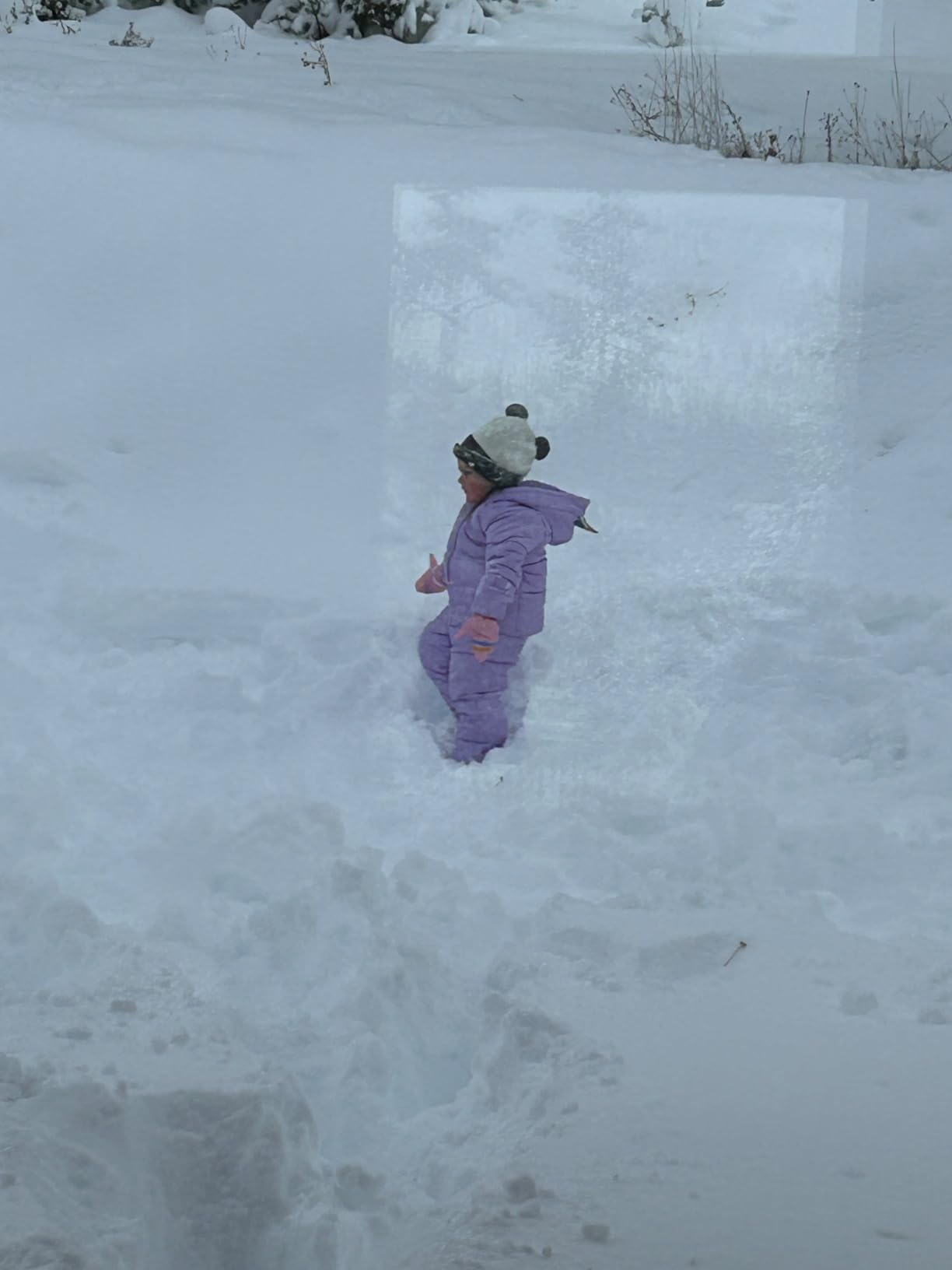 Carter's Girls' Toddler Heavyweight 2-Piece Skisuit Snowsuit customer photo 1