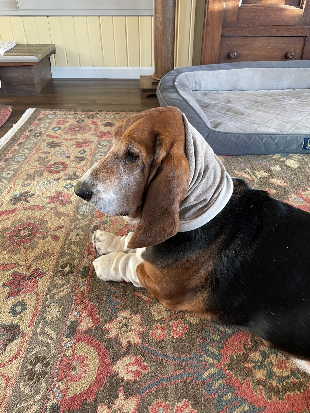 Winter Neck Gaiter Warmer, Soft Fleece Face Mask Scarf for Cold Weather Skiing Cycling Outdoor Sports customer photo 1