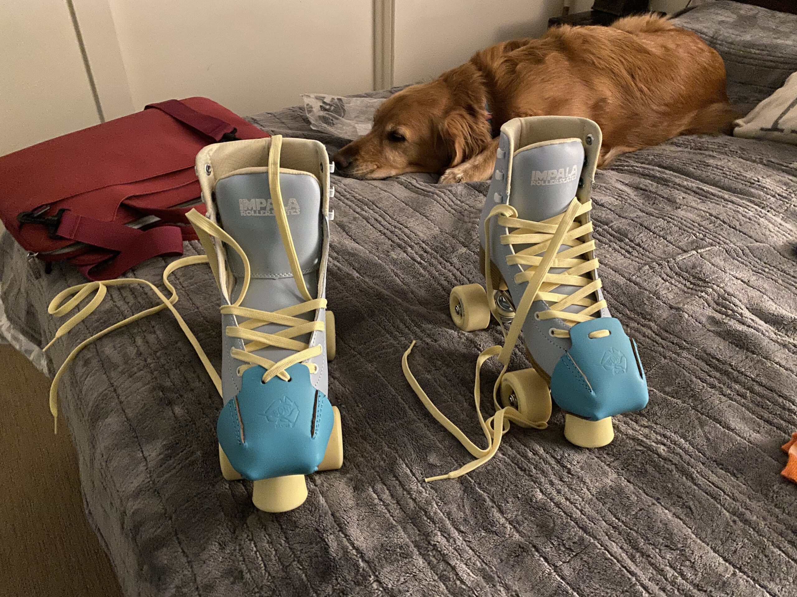 Bont Roller Skates - 100% Australian Leather Toe Cap Protectors - Roller Skate Derby Speed - Pair customer photo 2