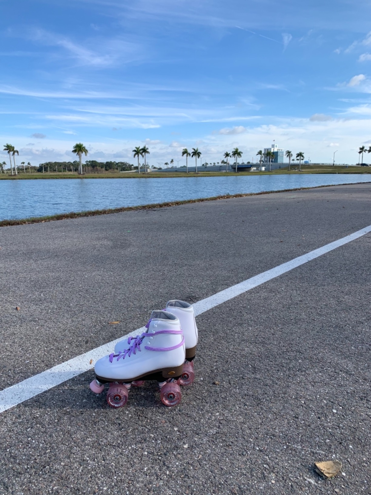 Sure-Grip Fame White Outdoor Unisex Roller Skates with Pink Motion Wheels - Vegan Boot with Microfiber Lining - Rock Nylon Plates & Aluminum Trucks - Matching Pink Cushions and Toe Stop customer photo 2