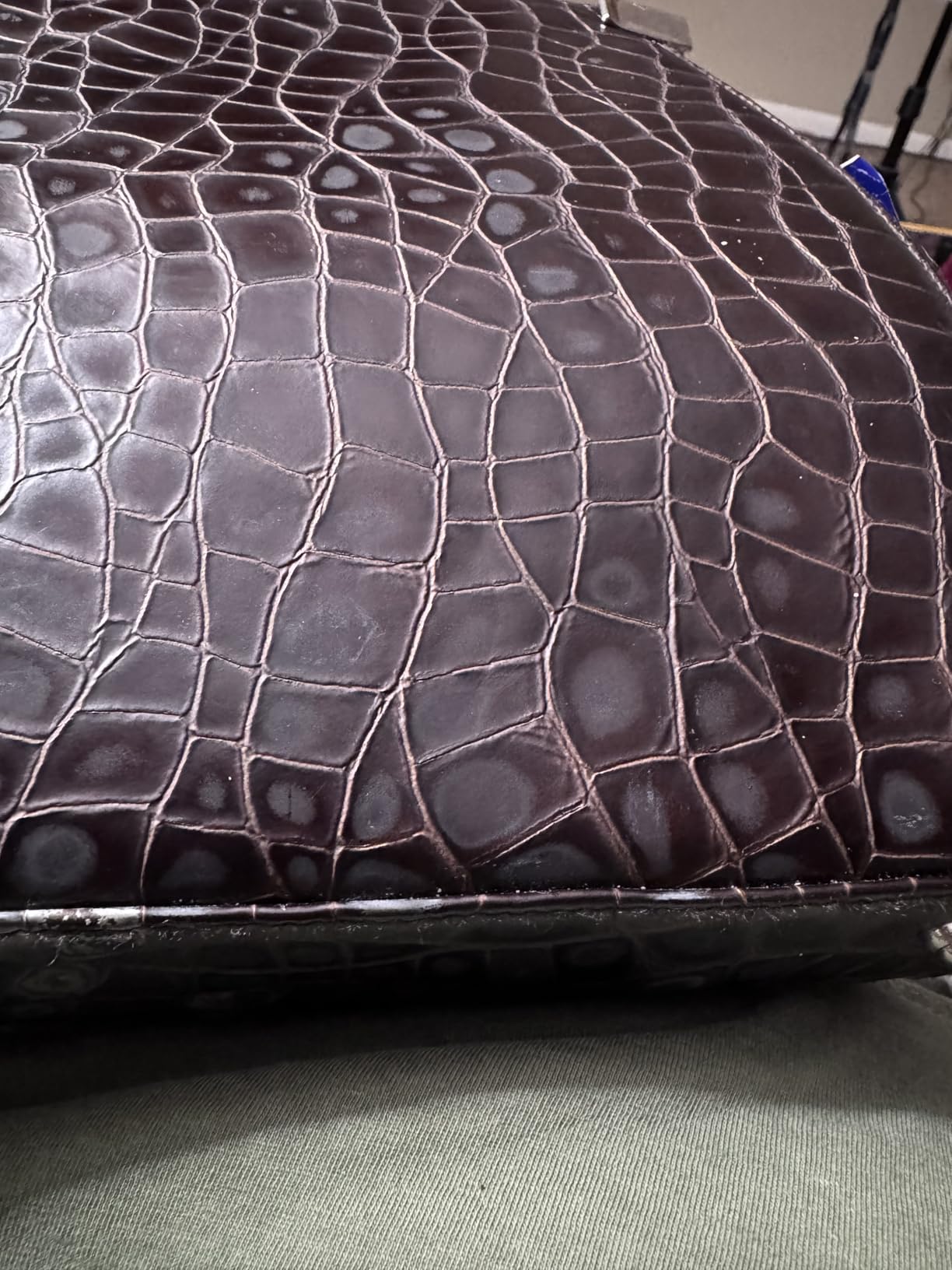 SALTY FISH Mink Oil for Leather Boots, Leather Conditioner Cleaner Waterproof Soften and Restore customer photo 2