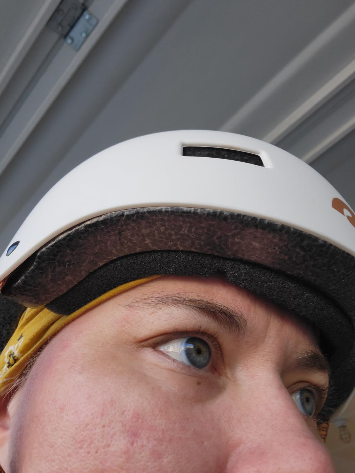 Retrospec Dakota Adult Bike Helmet for Men & Women - Multi-Sport Protection with ABS Shell, EPS Foam, 10 Vents & Removable Washable Padding for BMX, Skating, Scooter and Skate - Helmets for Adults customer photo 2