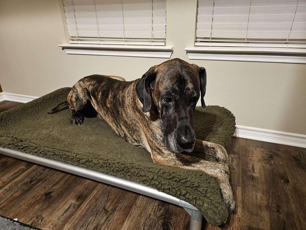 SWEAT X Max Odor Defense Laundry Detergent Liquid - Natural Washing Detergent for Activewear & Gym Clothes - Laundry Detergent for Sensitive Skin - Concentrated Detergent, 45 Loads (1 Bottle) customer photo 2