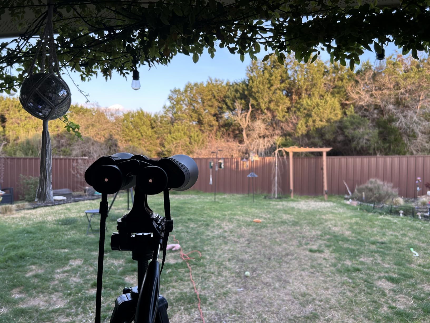 JOILCAN Tripod Camera Tripods, 74