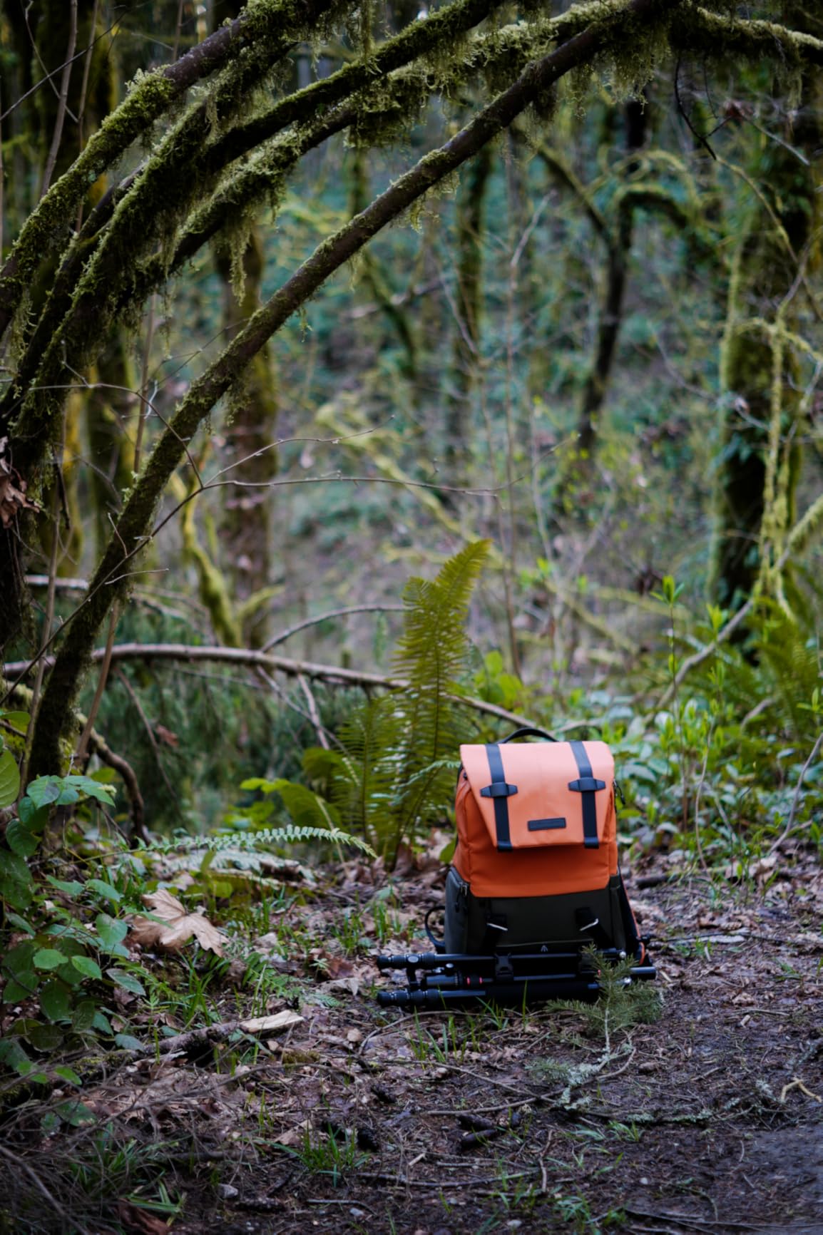 K&F CONCEPT Camera Backpack, Camera Bags for Photographers Large Capacity Camera Case with Raincover, 15-15.6 Inch Laptop Compartment customer photo 2