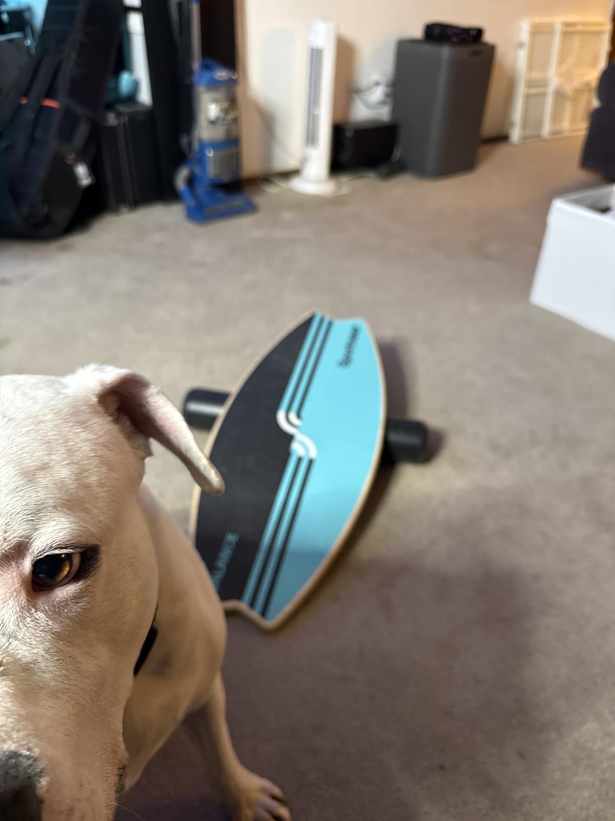 Sportneer Balance Board - 7 Modes Wobble Board with Adjustable Stoppers, Exercise Balancing Stability Trainer for Improve Balance, Surf Trainer & Physical Therapy - Roller and 2.8'' Ball Included customer photo 1