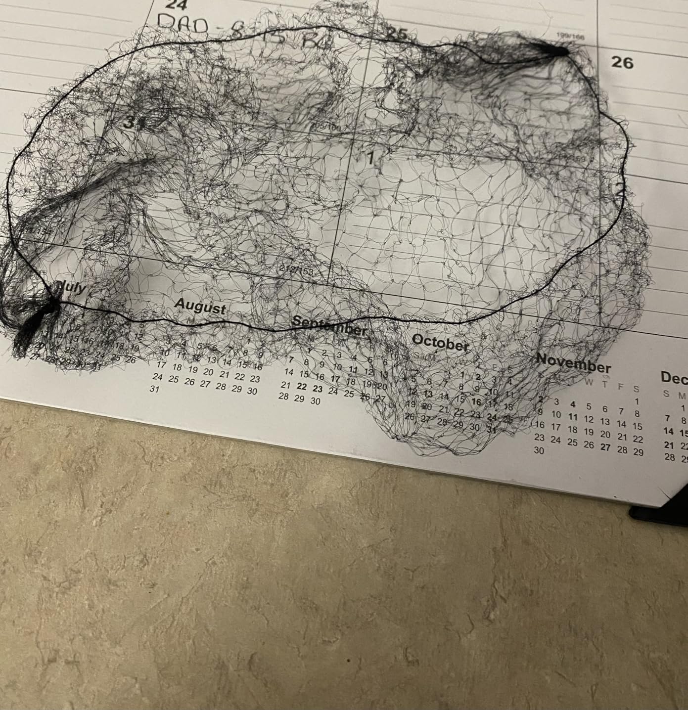 Hair Nets 144 PCS, Individually Wrapped, Lightweight Nylon Hairnets, Latex-Free | Black, Large (24