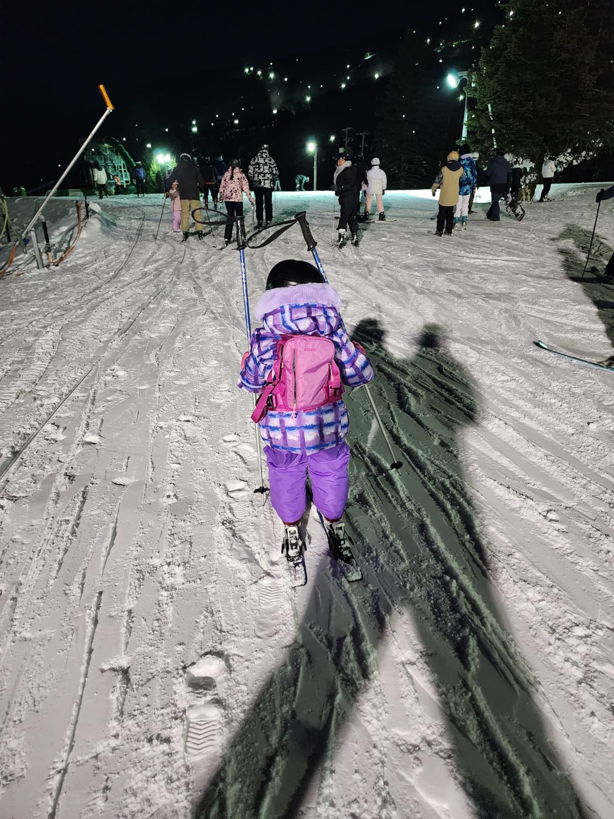 skiguard Ski Harness Trainer for Kids: Helping Toddler Learn to Ski with Support, Child Ski Harness with Backpack for Age 2-8 customer photo 2