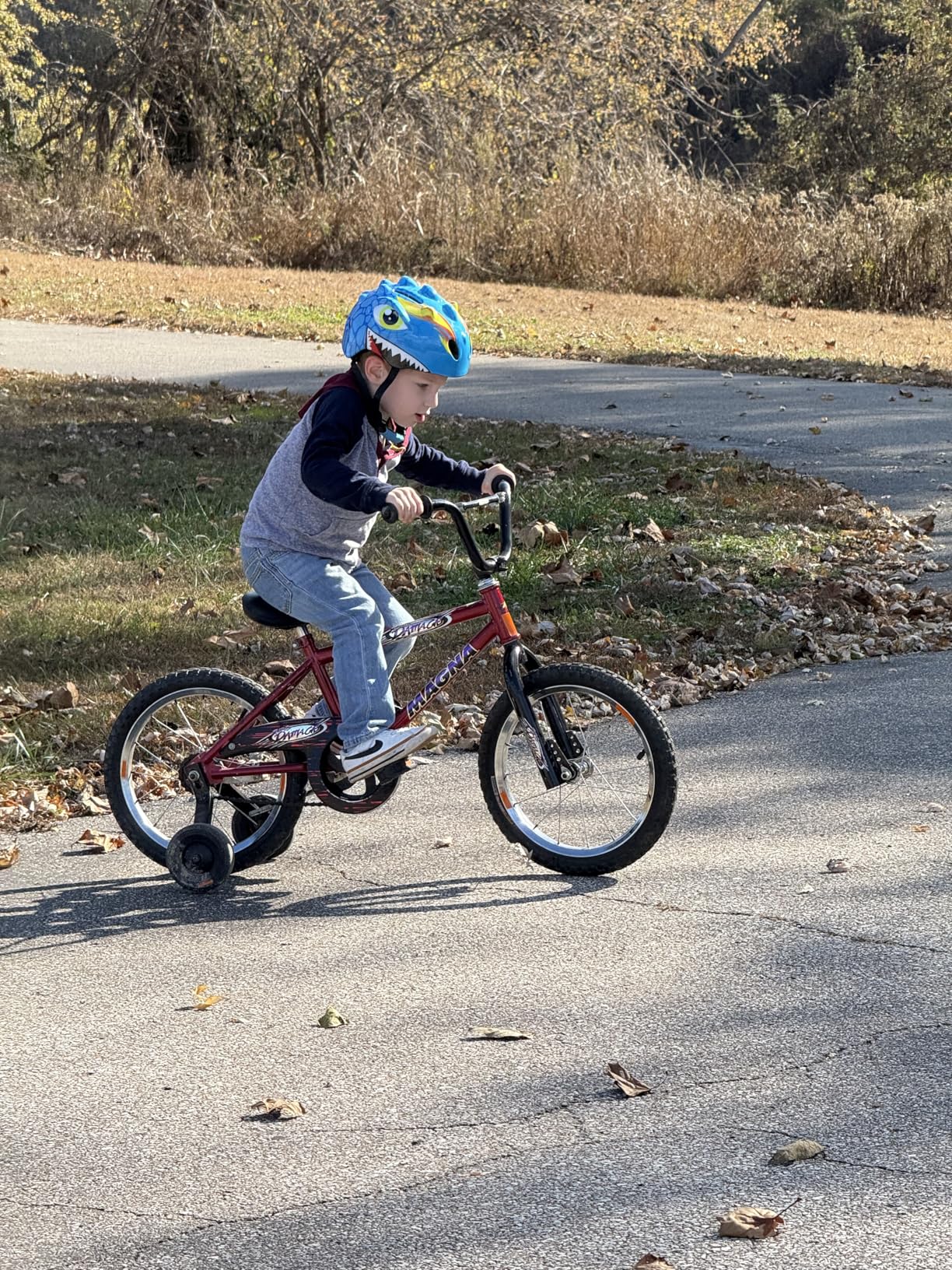 Toddler Helmet Kids Bike Helmet for 2 3 4 5 6 7 8 Years Old Girls with 3D Dinosaur Design Protective Gear Set and Safety Certified customer photo 1