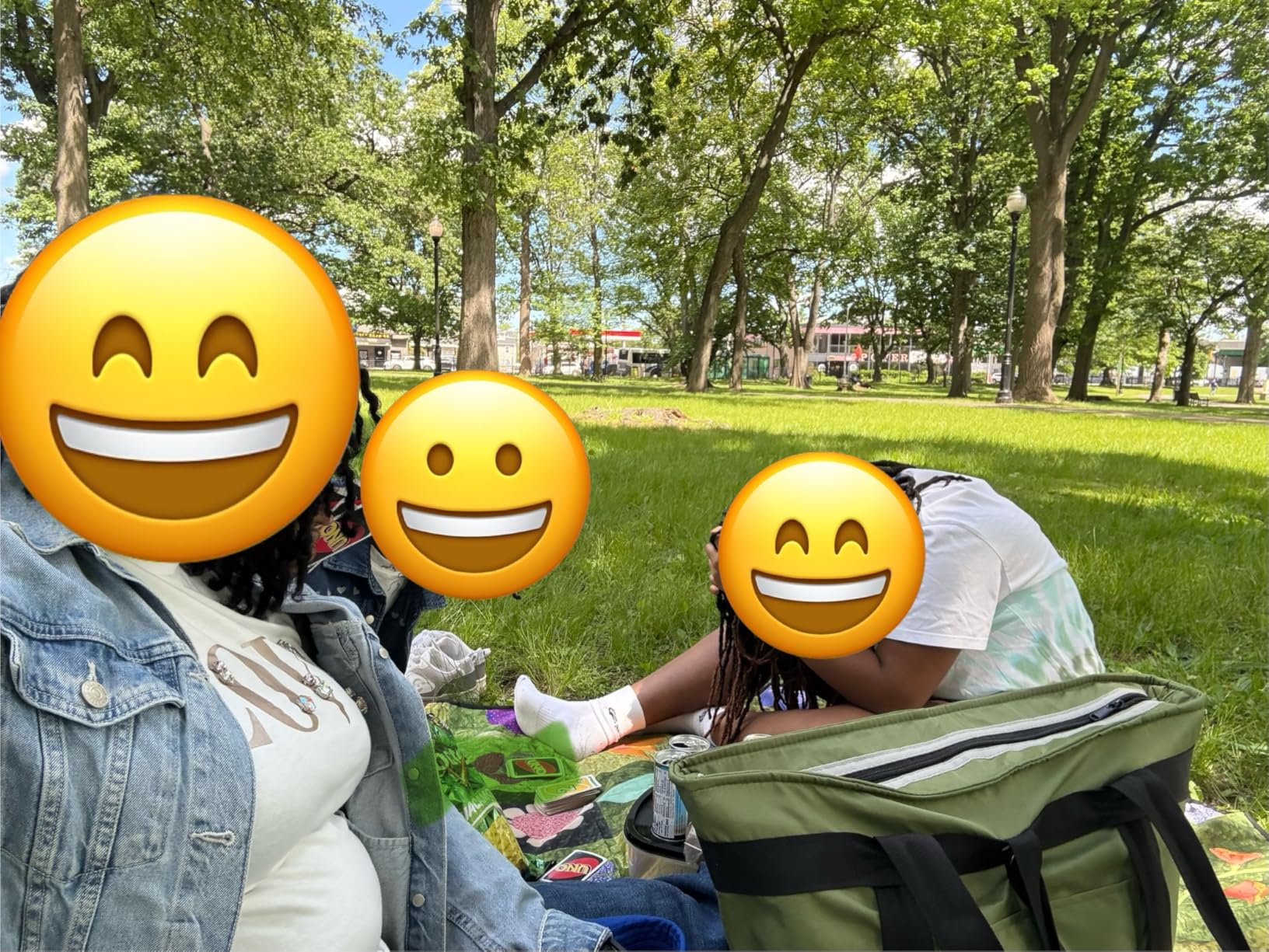 BeeGreen Cooler Bag Soft Insulated Tote for Beach Travel Grocery Shopping Lunch Portable Large Ice Coolers with Handle Hard Freezer Bags with Zippered Top Foldable Leakproof Delivery Totes Moss customer photo 1