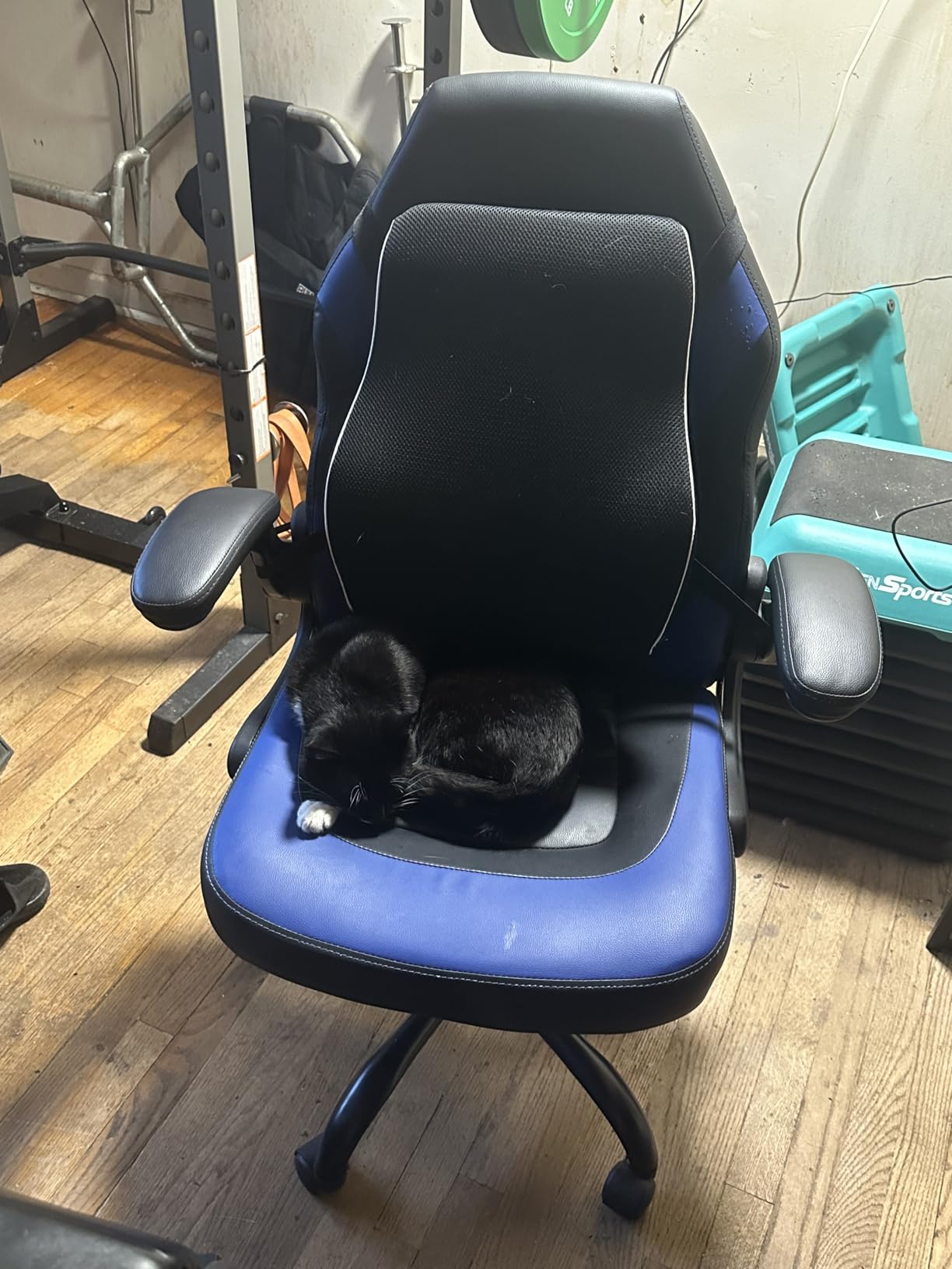 Sweetcrispy Computer Video Game Chair - Ergonomic Home Office with Comfy Lumbar Support, PU Leather Height Adjustable with Flip-up Armrest and 360 Degree Swivel Wheels, Blue, for Adults, Teens customer photo 1