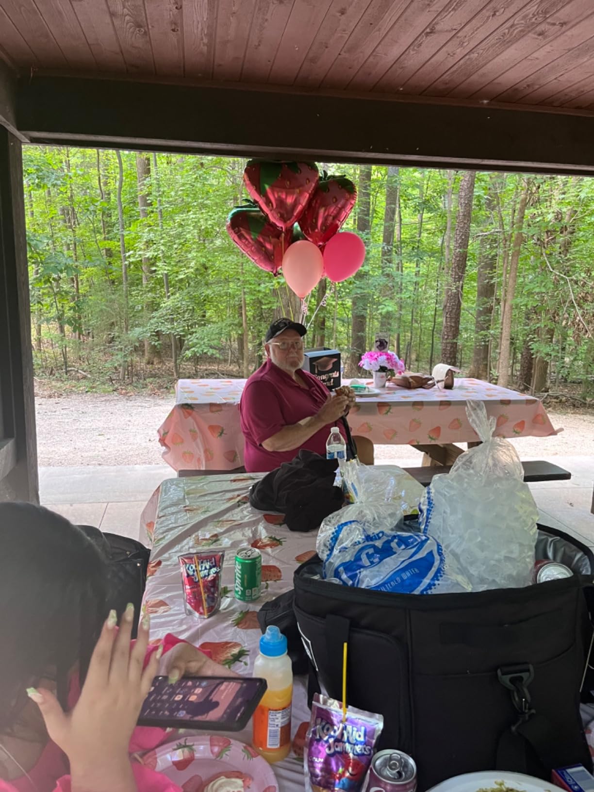 Cooler Bag 48-Can Insulated Leakproof Soft Cooler Large Collapsible Portable Travel Cooler Bags 32L for Picnic, Waterproof Soft Ice Chest for Camping, Beach, Fishing, Outdoor - 32 Quart customer photo 2