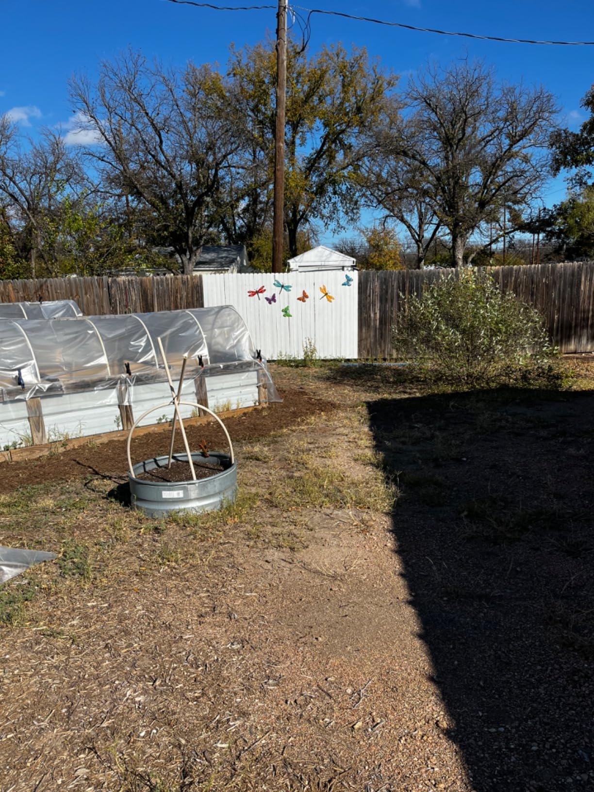Farm Plastic Supply - 6 Mil White Plastic Sheeting - Overwintering Film, 6 Mil White Plastic Film, Greenhouse Plastic, Durable Plastic Sheeting (16' x 25') customer photo 1