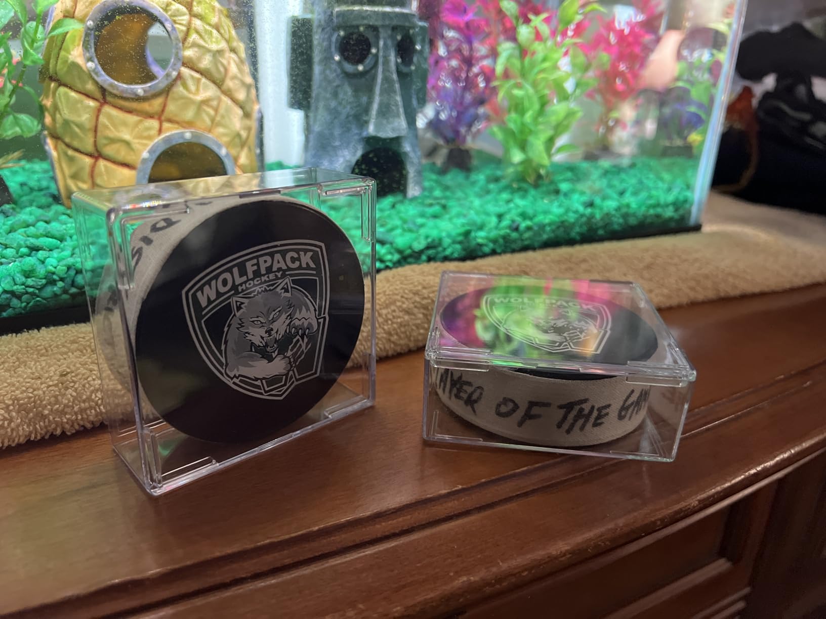 12-Count Hockey Puck Holder - Cube Square Hockey Puck Display Cases, 2-Piece Snap Clear Hockey Puck Holder, Official Size Hockey Puck Display Boxes customer photo 1