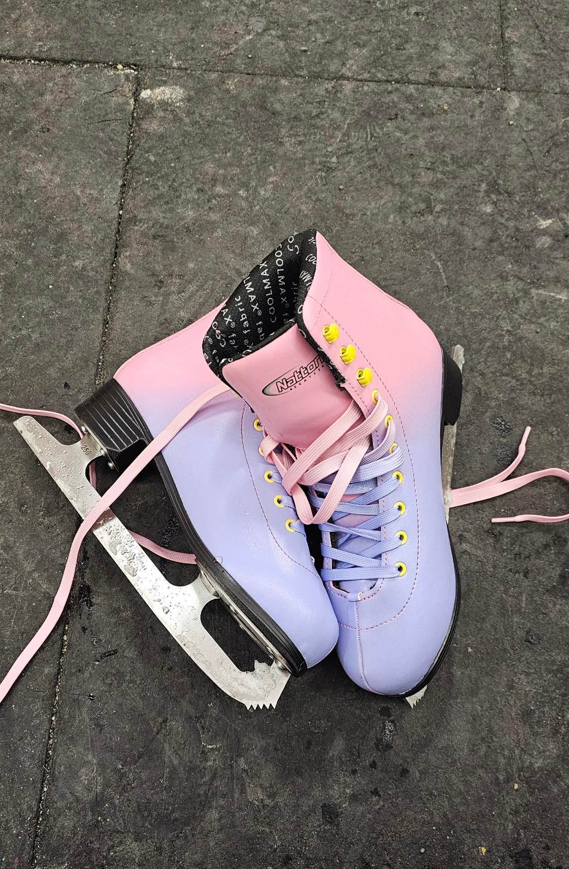 Nattork Figure Skates Excellence Stainless Steel Blades for Youth and Adult - Enhanced Support and Comfort customer photo 1