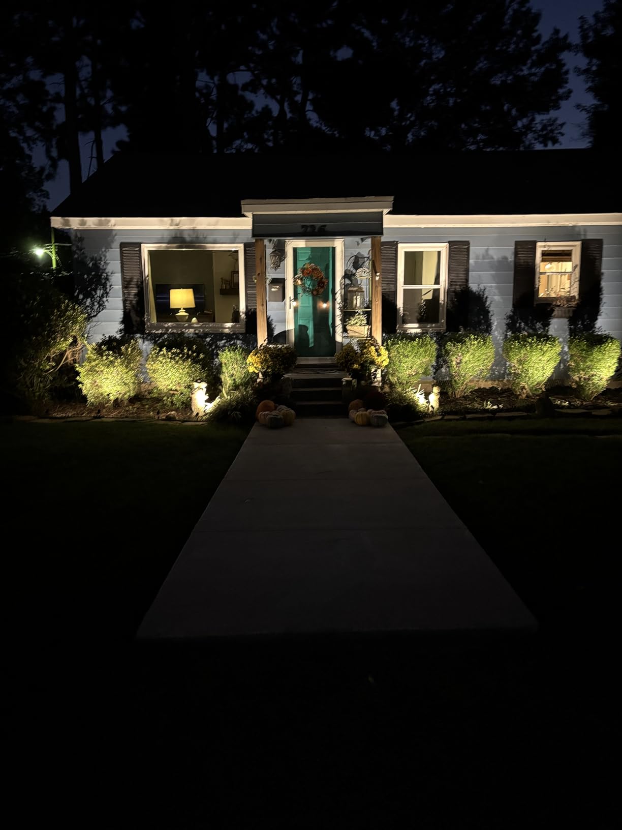 SUNVIE All-In-One LED Landscape Lighting Kit, 8-Pack Low Voltage Landscape Lights with Transformer and 65FT UL-Listed Wire, 3000K Waterproof Outdoor Uplights with Connectors for Yard House Garden Tree customer photo 2