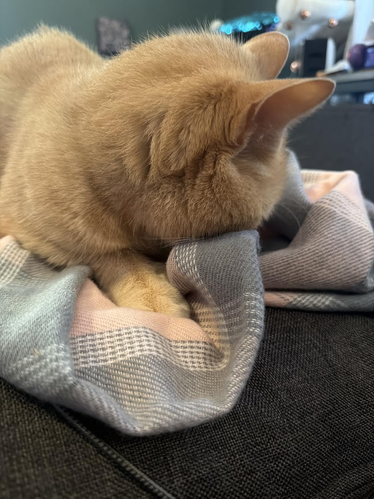 Heated Scarf for Women Rechargeable Neck Warmer, Scarves for Men Winter Warm Intelligent Electric Heating Scarf customer photo 1