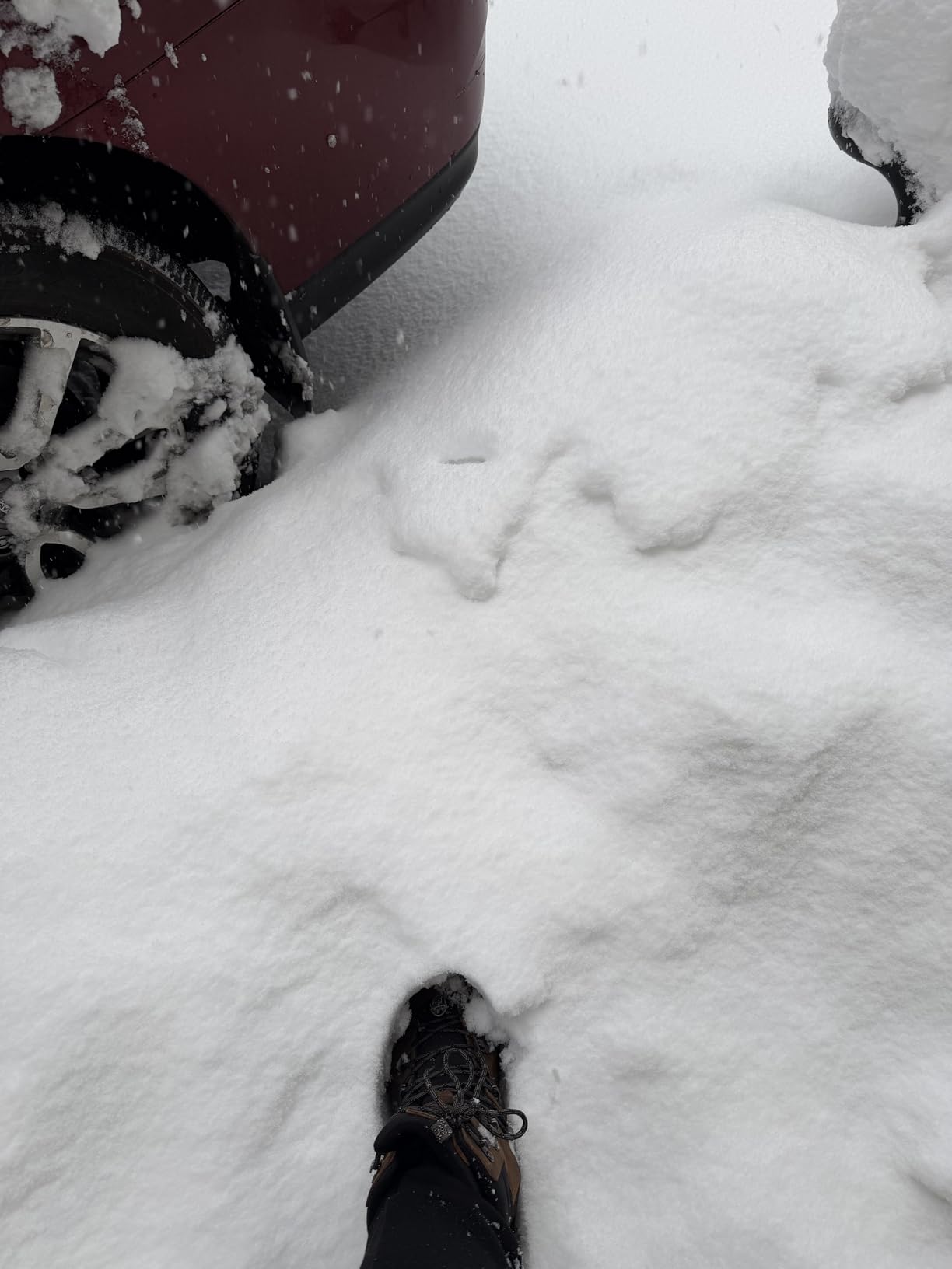 KEEN Men's Revel 4 Mid Height Polar Insulated Waterproof Snow Boots customer photo 1