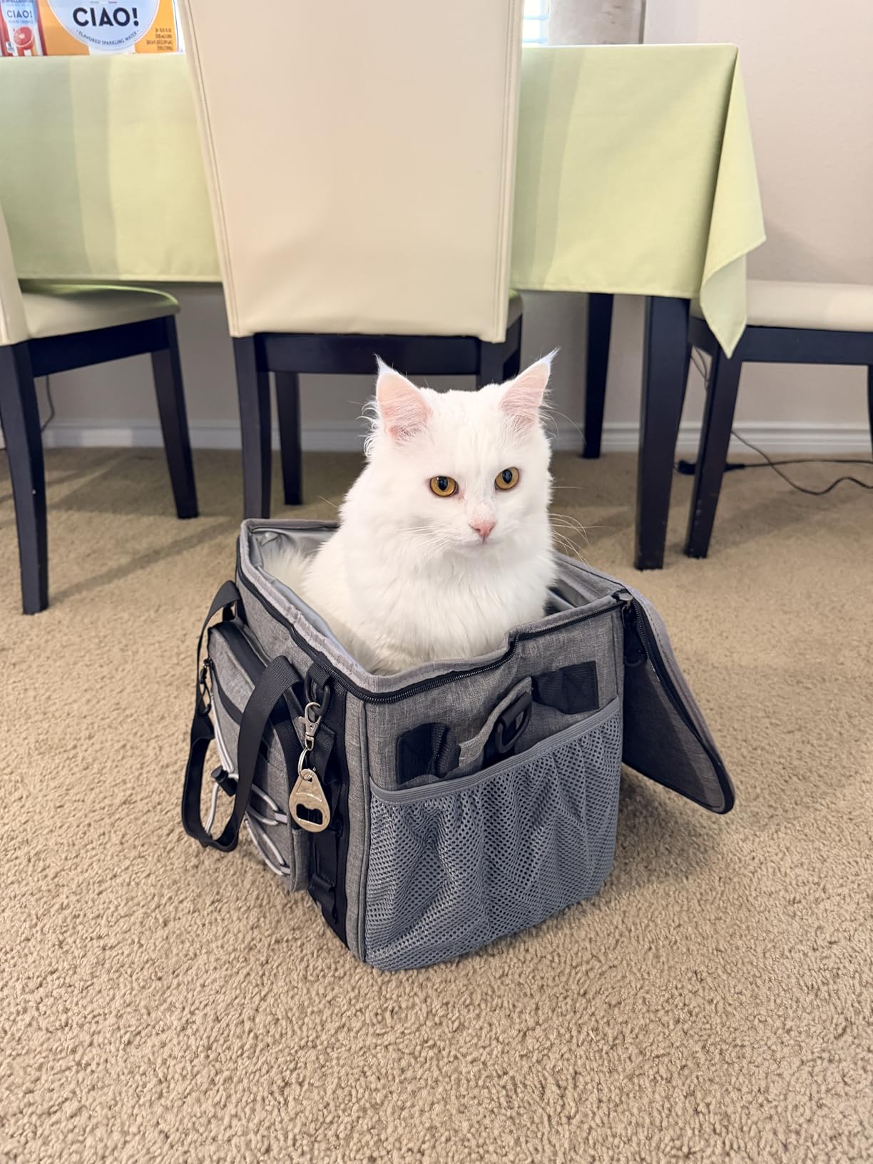 Maelstrom Soft Sided Cooler Bag, 30/40 Can Collapsible Insulated Ice Chest, Large Leakproof Portable Storage for Camping, Travel, Kayaking & Beach customer photo 1