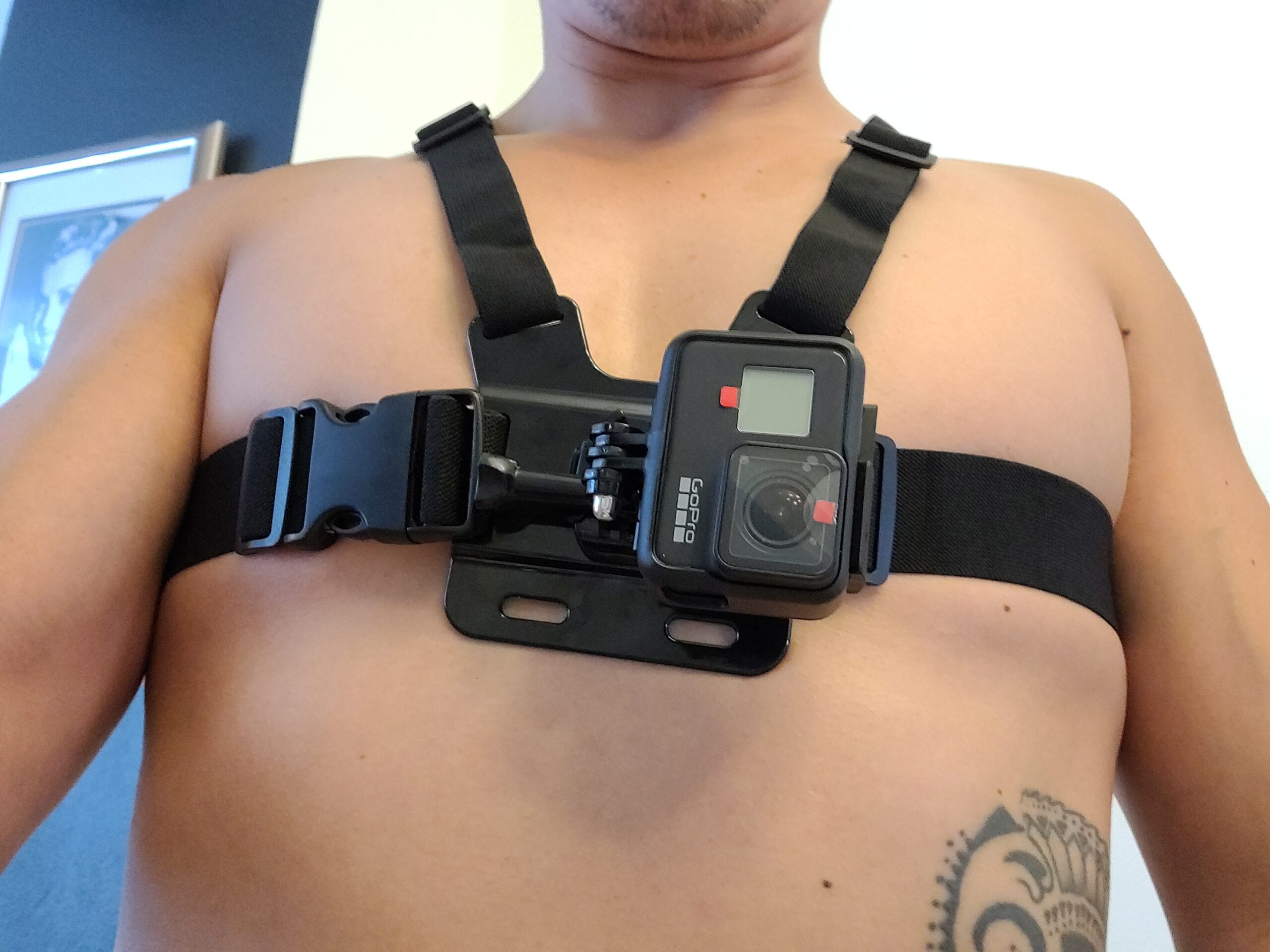 NEEWER Chest Mount Harness for Action Camera, Adjustable Hand Free Chest Strap Compatible with GoPro Hero DJI Osmo Insta360, Magnetic Release Action Camera Chest Mount for Point of View Video Vlog, GP25 customer photo 2