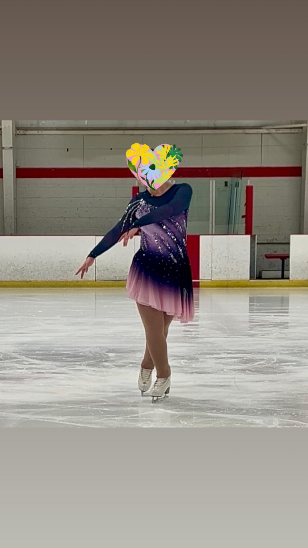 Girl's Long Sleeved Purple Gradient Figure Skating Dress Elegant Figure Skating Skirt for Performance and Practice customer photo 1