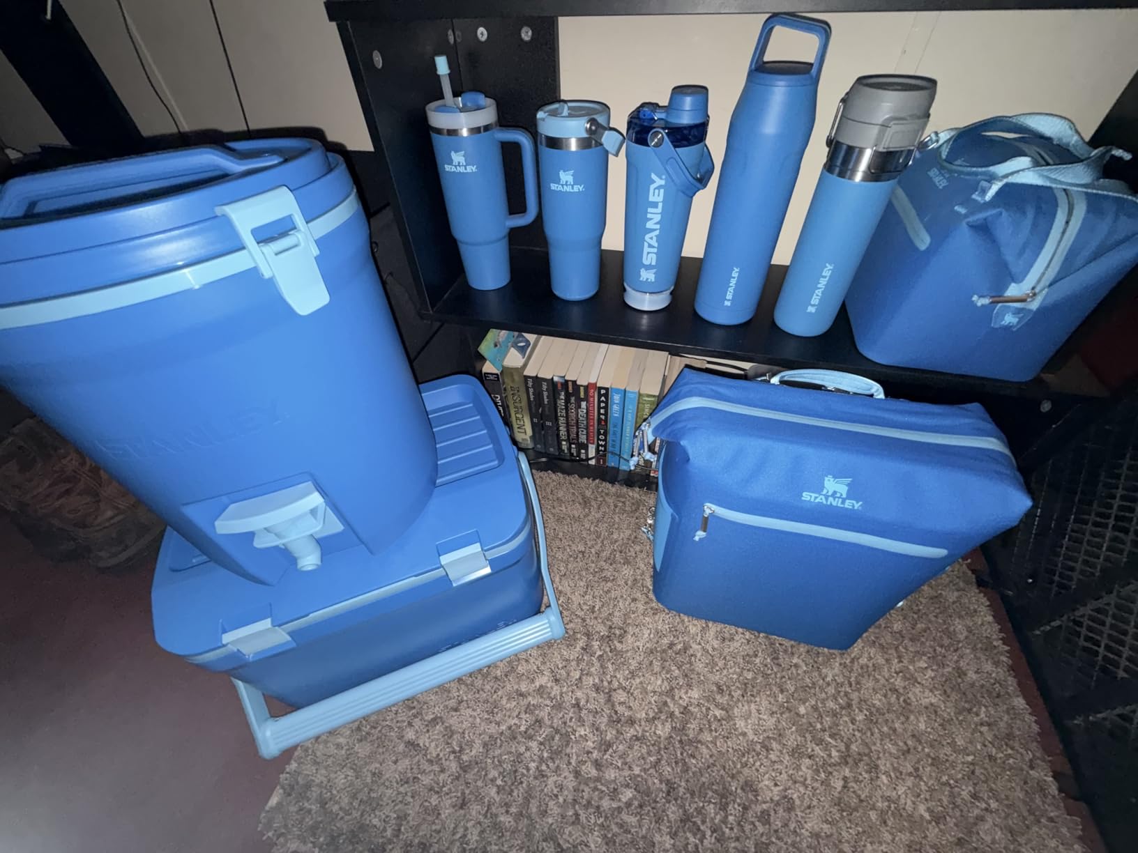 Stanley All Day Madeleine Backpack Soft Cooler 20 Can Cooler with Handle and Shoulder Straps Insulated Travel Bag with Zipper BPA-Free customer photo 1