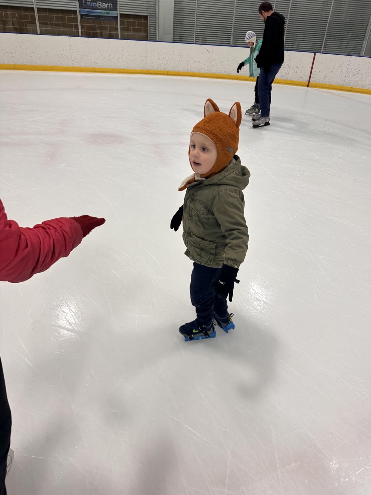 Toddler Ice Skates, Kids Adjustable Double Runner Ice Skates with Hook and Loop Fastener Straps, Blue Double Blade Ice Skates for Winter Toddler Training Shoes Beginner customer photo 1